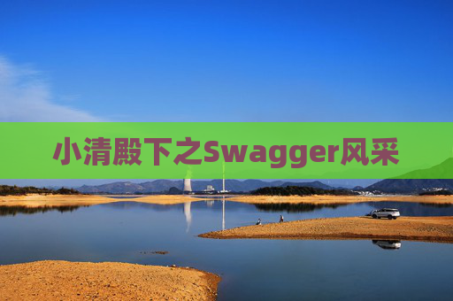 小清殿下之Swagger风采